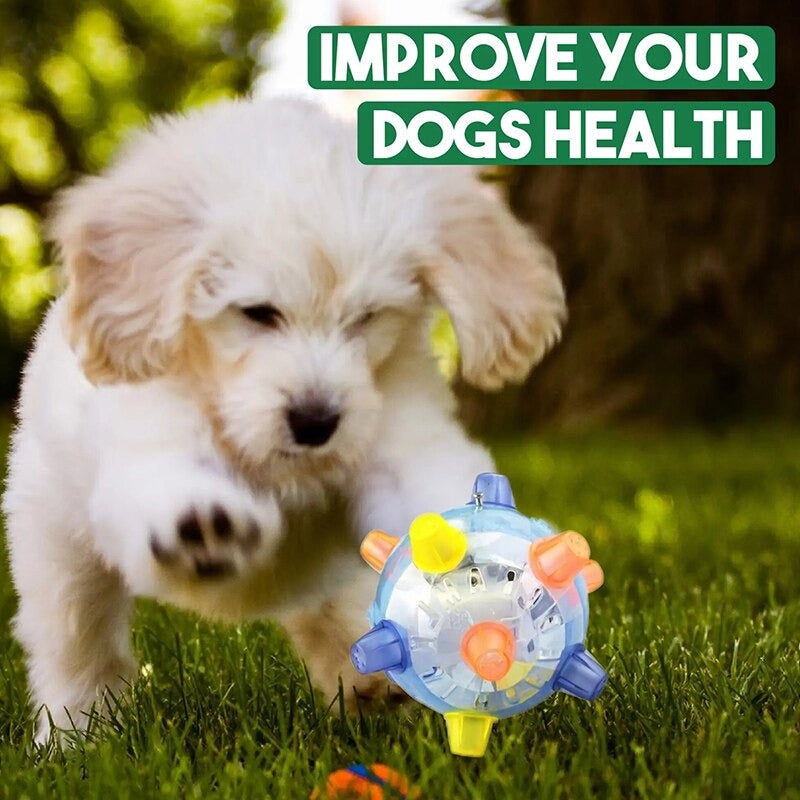 Pet LED Vibration Toy Ball
